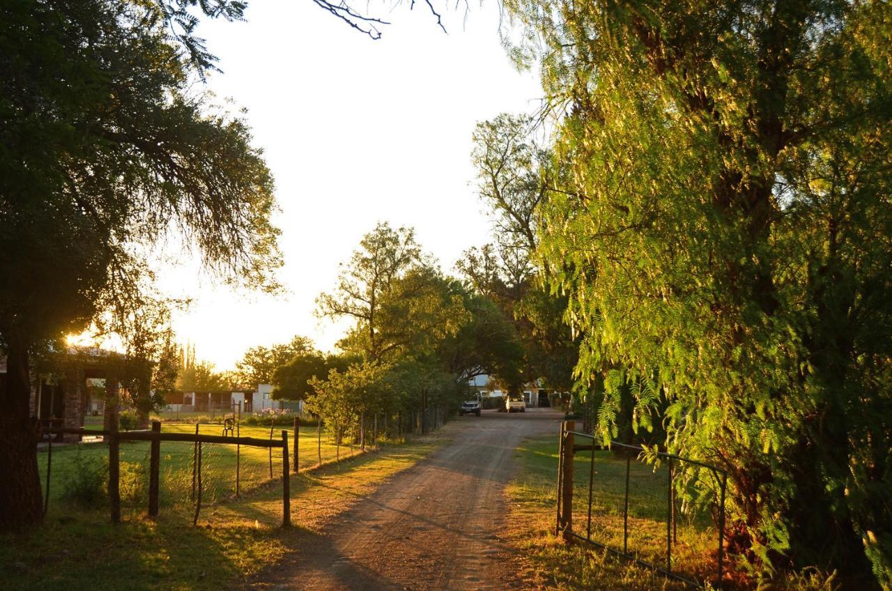 Beaconsfield Farm Villa Hofmeyr Bagian luar foto